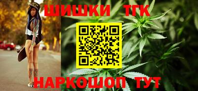 крисы Новодвинск