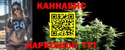 крисы Новодвинск