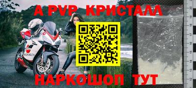 крисы Новодвинск