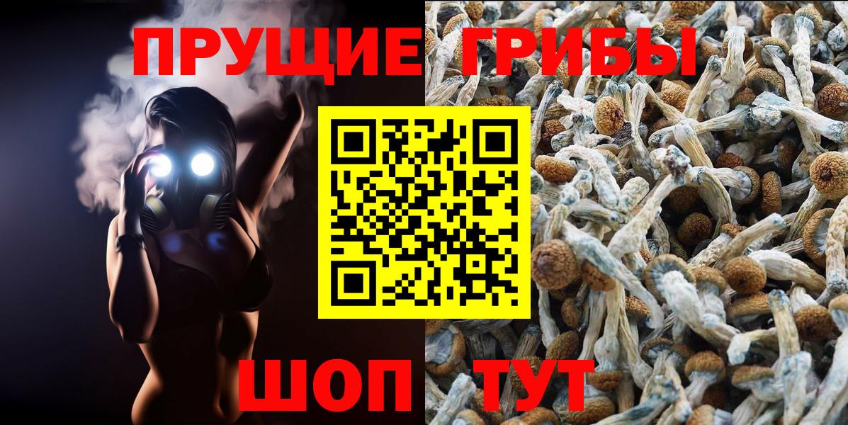 Псилоцибиновые грибы GOLDEN TEACHER  Вход с VPN  Галлюциногенные грибы прущие грибы  Тольятти 