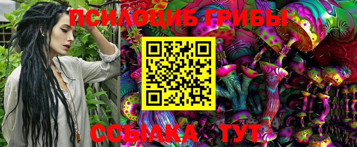Галлюциногенные грибы Magic Shrooms Тольятти